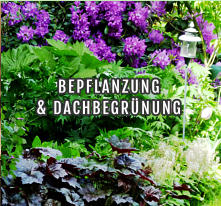 BEPFLANZUNG  & DACHBEGRÜNUNG