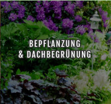BEPFLANZUNG  & DACHBEGRÜNUNG