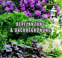 BEPFLANZUNG  & DACHBEGRÜNUNG