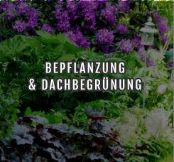 BEPFLANZUNG  & DACHBEGRÜNUNG