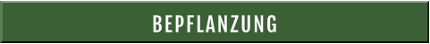 BEPFLANZUNG