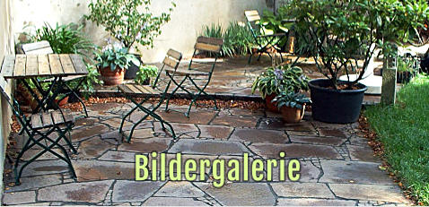 Bildergalerie